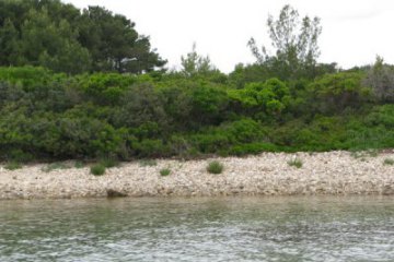 Ostrov Komornik, foto 3